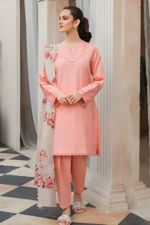 3 Pcs Women's Embroidered Suit