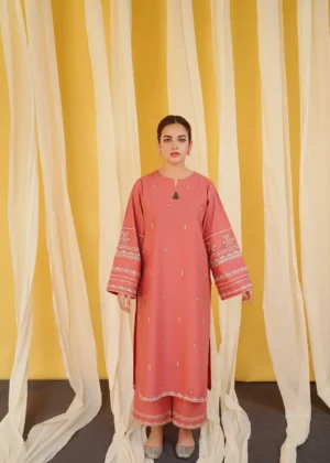 2 Pcs Embroidered Suit