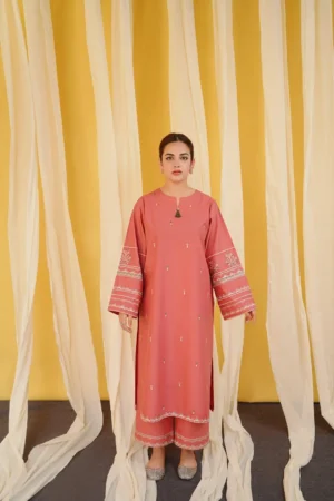 2 Pcs Embroidered Suit